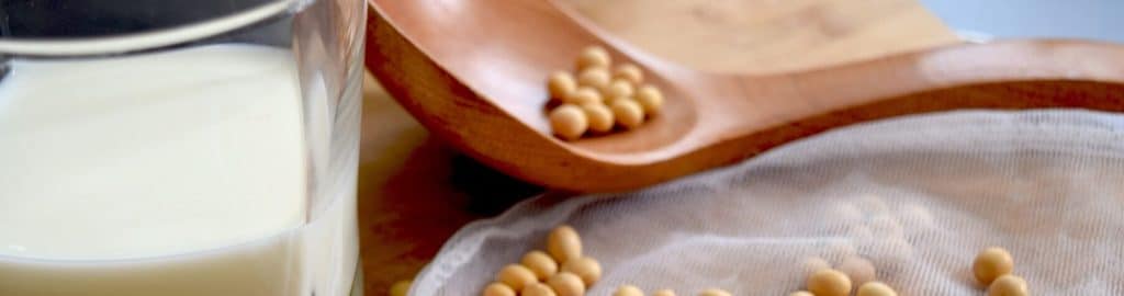 Lait de soya biologique