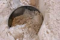 organic whole wheat flour 20kg case