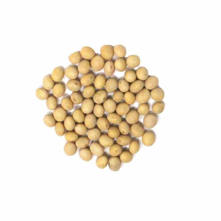 soybeans case