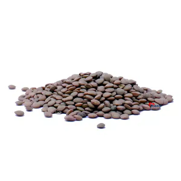 lentilles vertes easten caisse