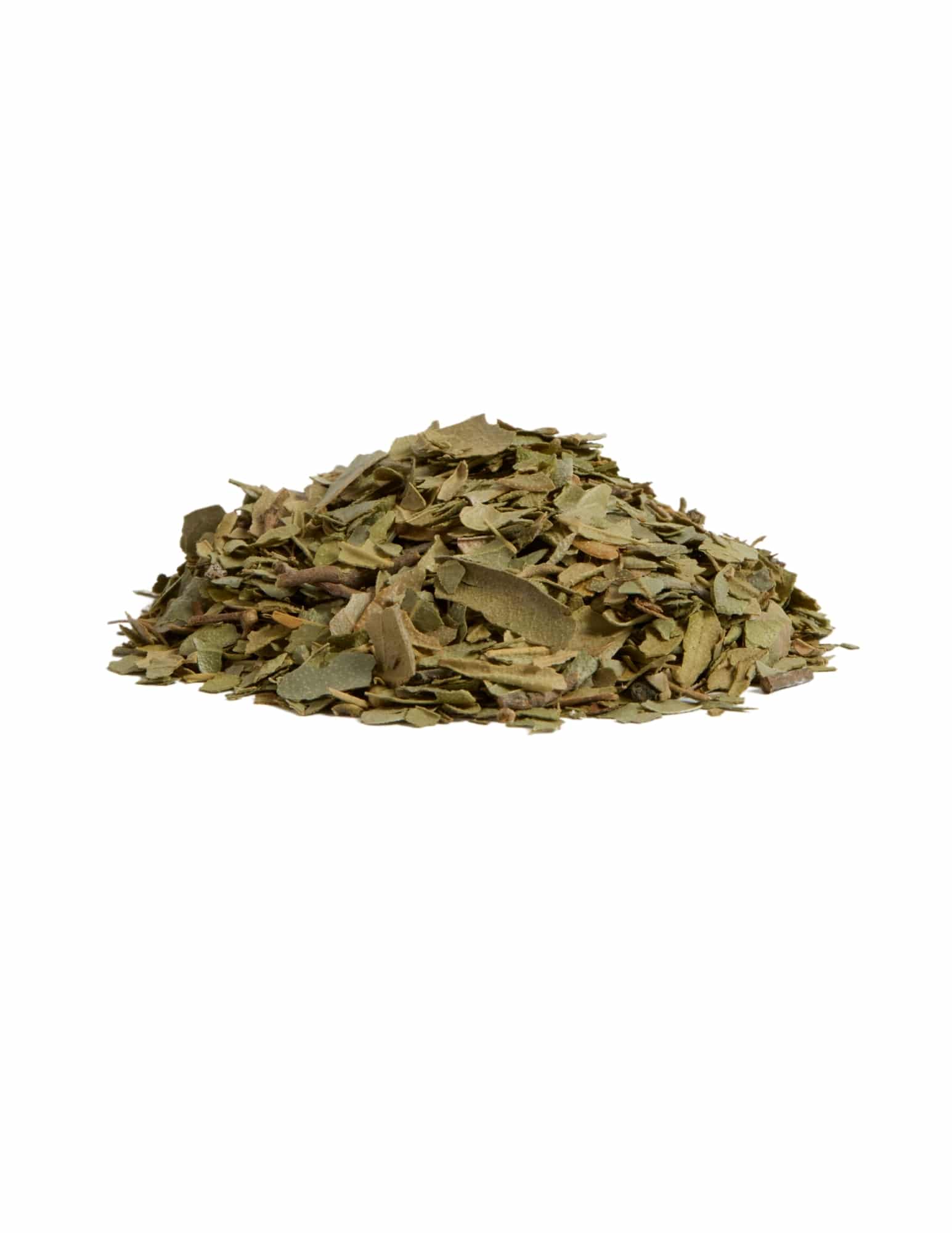 Boldo Feuille Coupée Pot