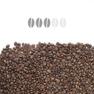 Café Barista Biologique/Équitable (LENOIR & LACROIX)