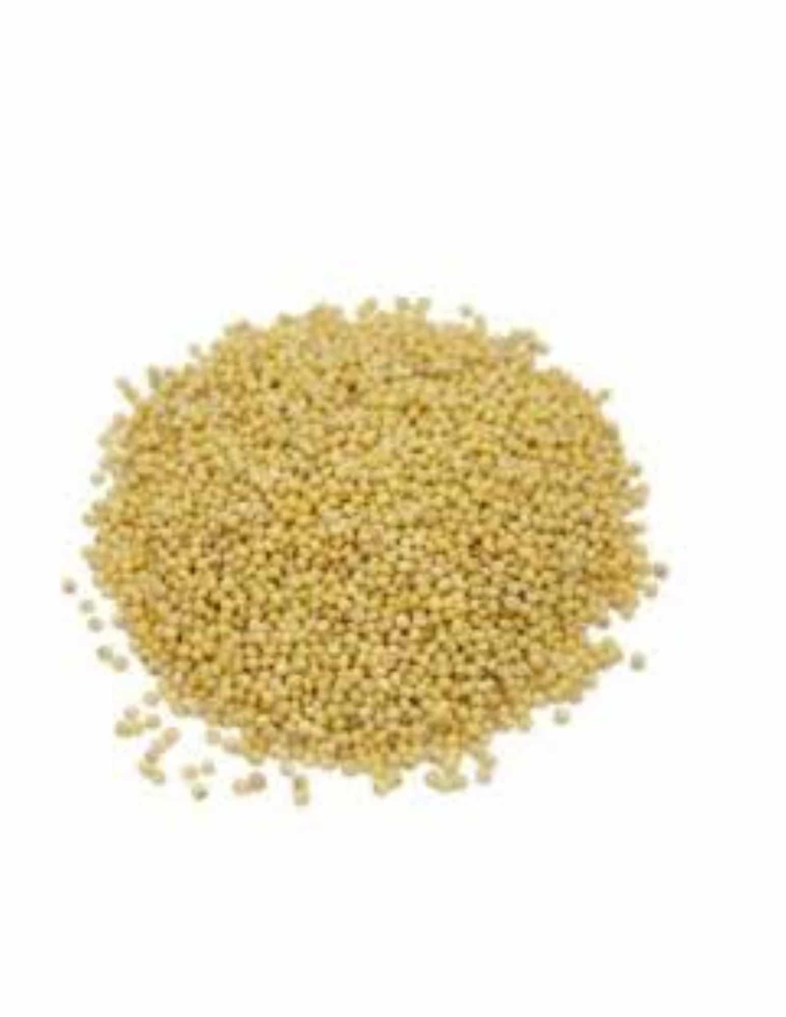 Grain de Millet Biologique