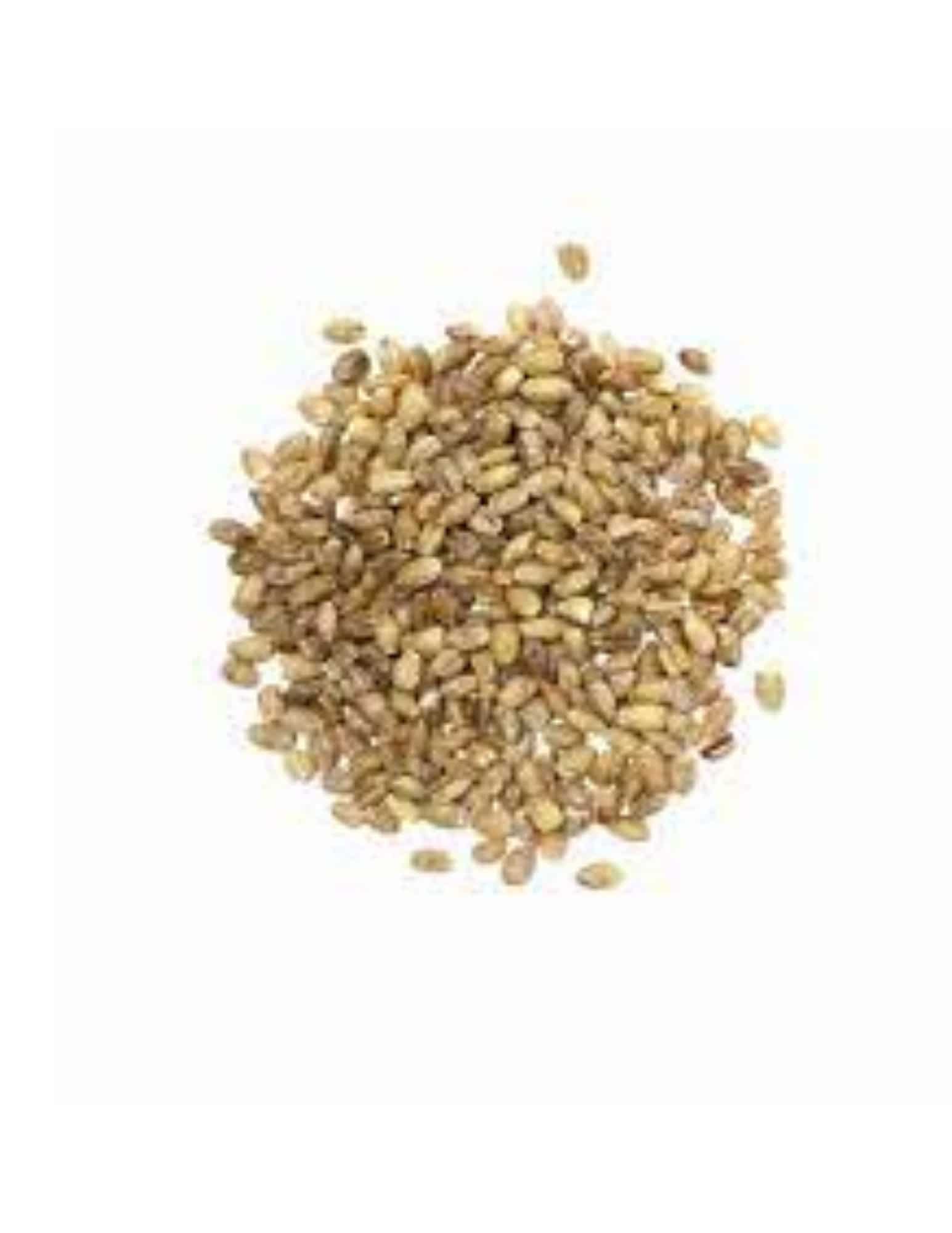 Grain d'Orge Mondé 6x12