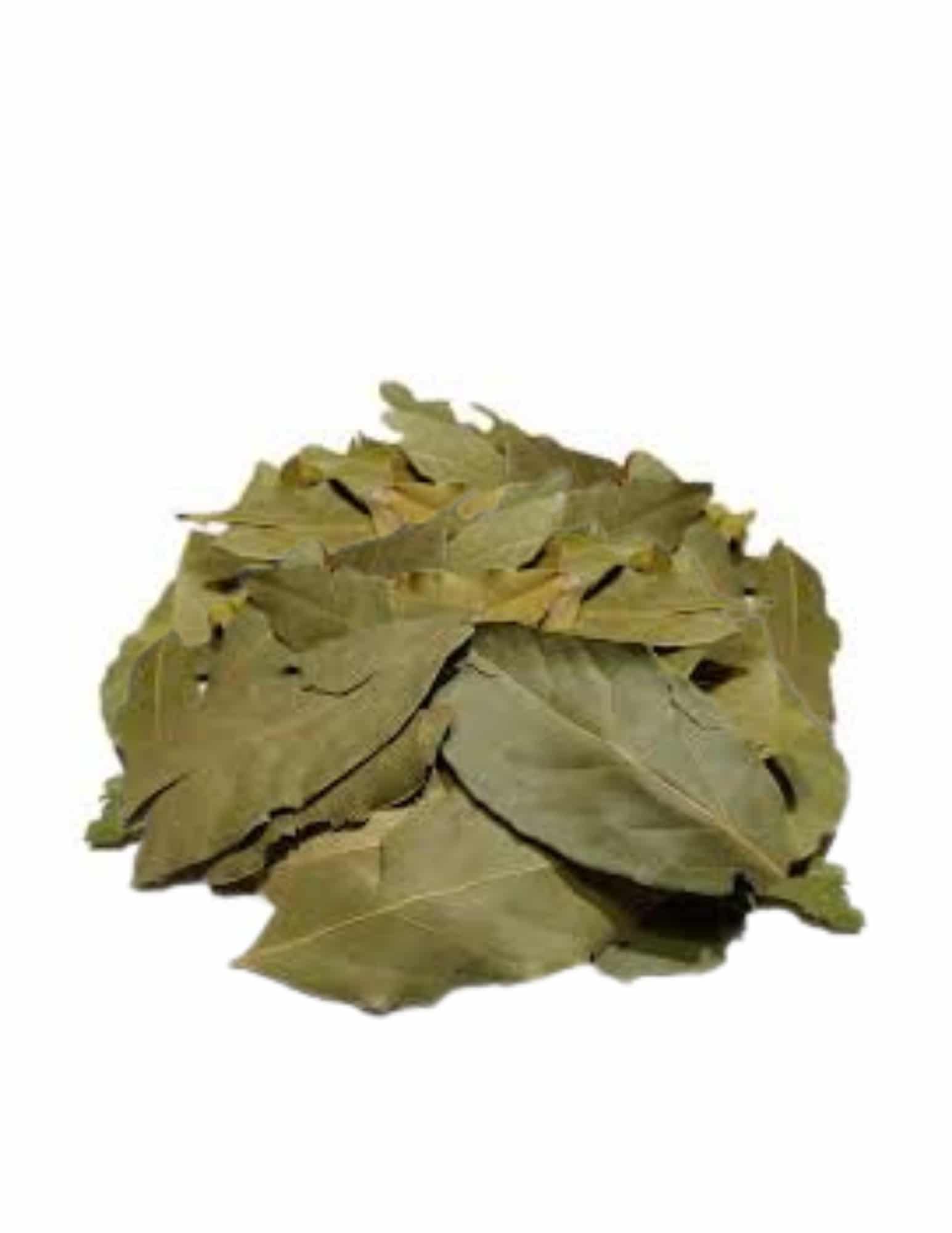 Feuilles de Laurier Entières Biologique 1kg