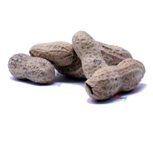 Arachides en écales rôties non salé caise 20kg