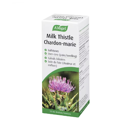 Chardon-Marie (A.VOGEL)