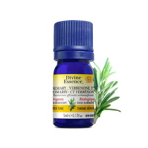 H.E. Organic Wild Oregano (DIVINE ESSENCE)