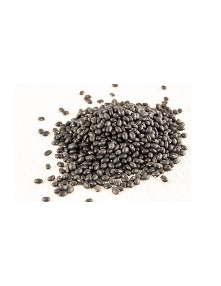 Haricots Noirs Turtle Biologiques