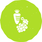 fruits legumes fruits legumes